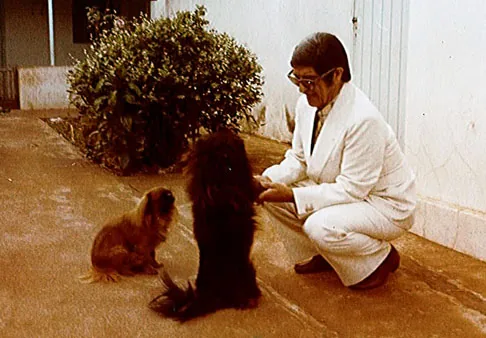 Chico Xavier acariciando cachorros — o amor pelos seres da criação